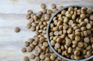 pet food in circle stainless bowl